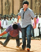 NTR Photos in Dammu